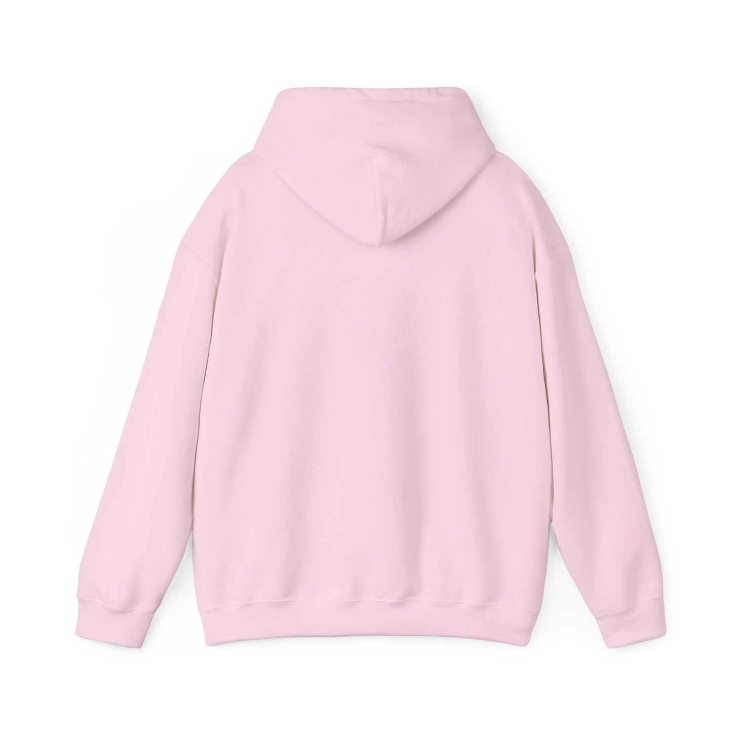 Texas Hoodie